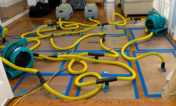 Professional Water Damage Repair technician working in Plainfield, NH